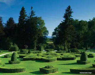 Shapoorji Pallonji  Amenities - Multi-Purpose Lawn